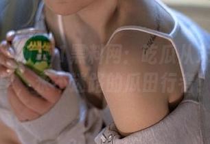 91黑料网：吃瓜从未那么简单，永不迷路的瓜田行者！
