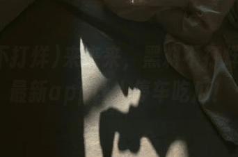 来来来，黑料不打烊网址，最新app让人停车吃瓜！