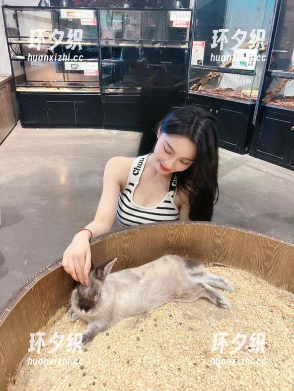 吃瓜小能手！万里长征黑料不打烊发布的最新网站，连我家的猫都想一睹为快！